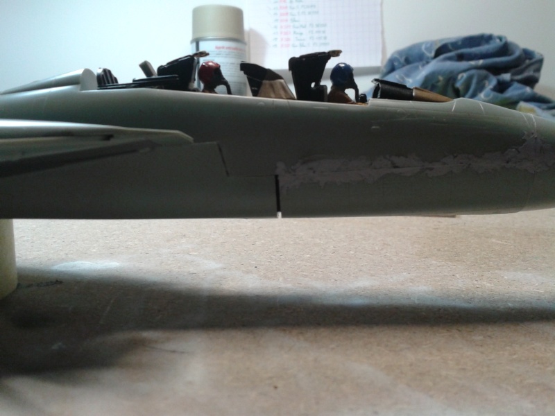 F-14 Miss Molly 20131263