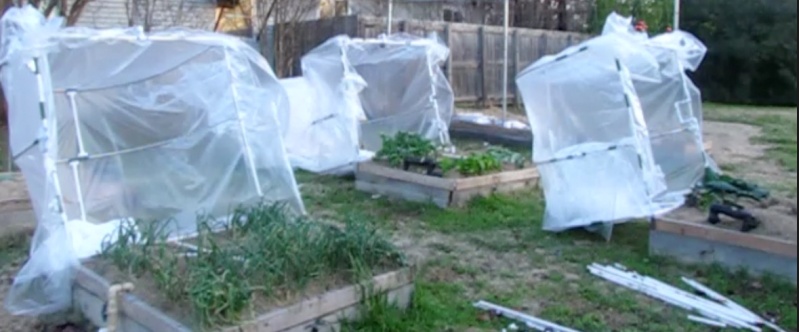 The Winter Journey and greenhouse plastic - Page 5 3_open10