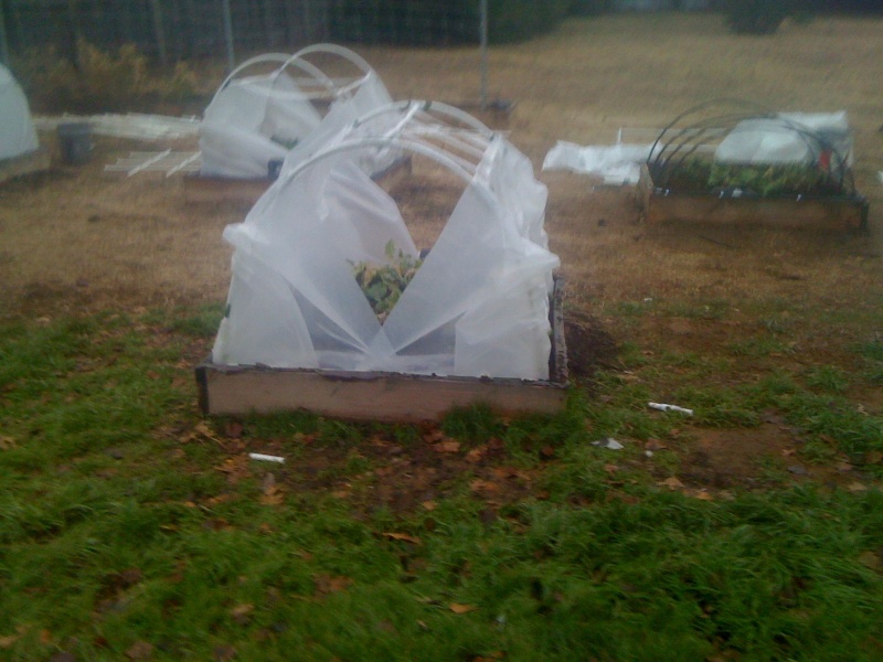 The Winter Journey and greenhouse plastic 510