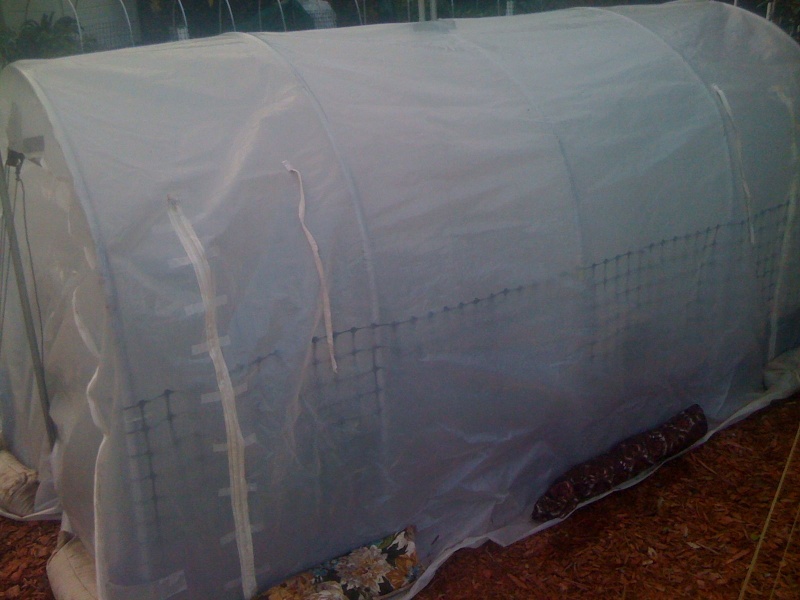 The Winter Journey and greenhouse plastic Gloria10