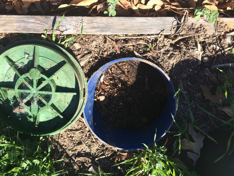 The SFG Journey:Vermicompost Garden Bucket(VGB): How fast do worms eat in a VGB experiment Vermic10