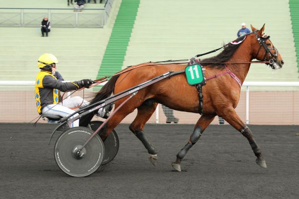 vincennes -  Vincennes - Quinté- Vendredi 19/05/17 4c730910