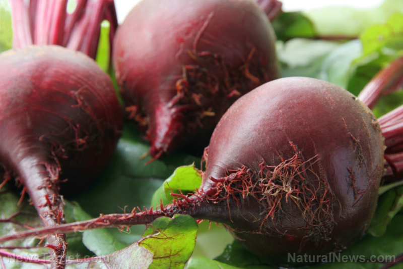 HOW TO HARVEST AN ENDLESS SUPPLY OF BEETS FROM YOUR BACK YARD Beets10