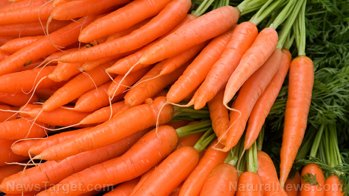 TEN POTENT SUPERFOODS YOU CAN GROW RIGHT AT HOME, WITHOUT SPENDING A FORTUNE Carrot12