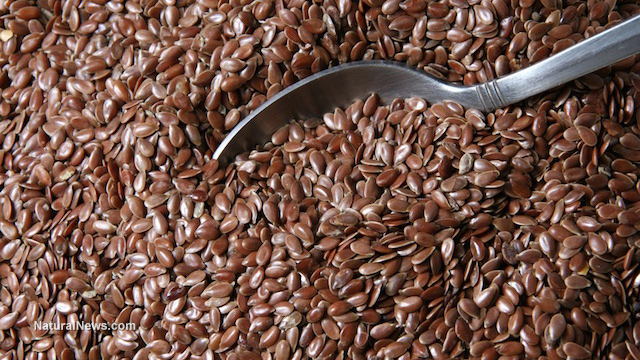 10 HEALTHY REASONS TO ADD FLAX SEED TO YOUR DIET Flaxse10