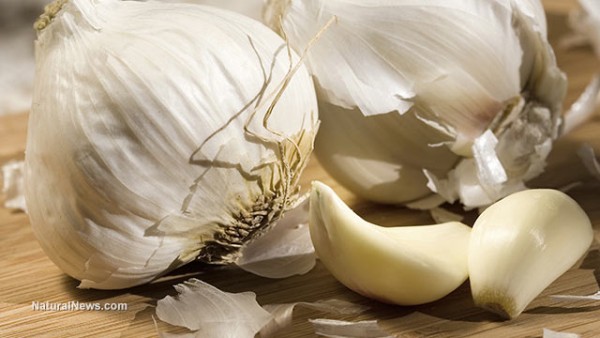 7 DISEASE-FIGHTING FOODS TO INCORPORATE INTO YOUR EATING HABITS Garlic10