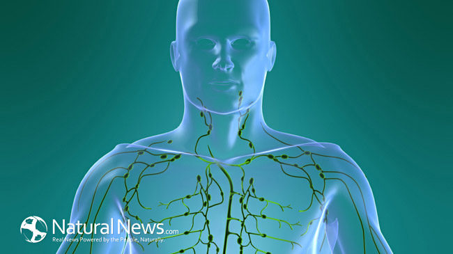 SIGNS YOUR LYMPHATIC SYSTEM IS CLOGGED AND HOW TO REPAIR IT Lymph-10