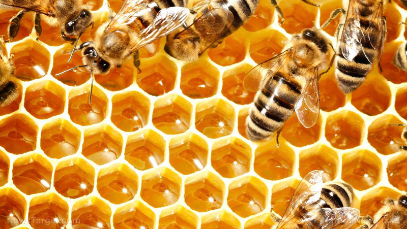 HONEY FOUND TO REDUCE ARTERIAL PLAQUE BY AN ASTONISHING 30%... COULD IT PREVENT HEART ATTACKS? Man-ho10