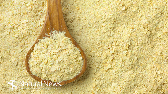 WHY YOU SHOULD ADD THIS TASTEY BOOSTER FOOD, NUTRITIONAL YEAST, TO YOUR DIET Nutrit10