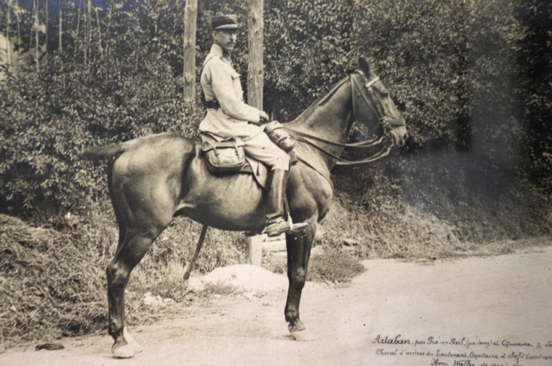 CHEVAL DE GUERRE FRANCAIS ET UN OFFICIER ARTILLEUR VALEUREUX 000210