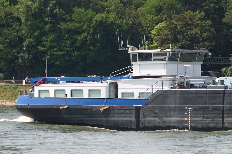 Kleiner Rheinbummel am 21.06.17 in Königswinter 14b11