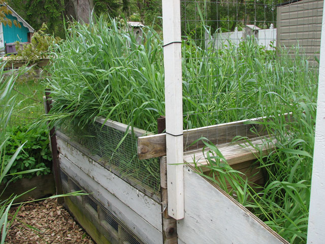 crop rotation - 8 months of cover crop Big_co11