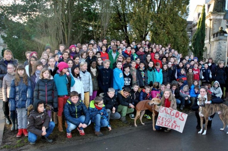 LES GALGOS EN FRANCE ET EN ESPAGNE Image010