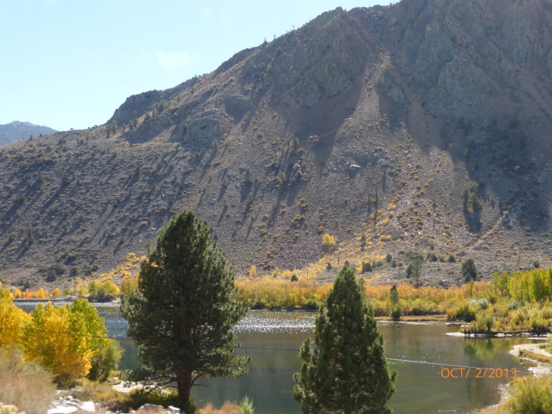 Owens Valley, Ca - Page 2 P1000310