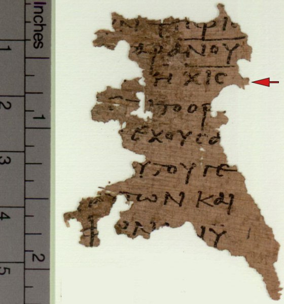 nom marque et nombre de la bête quel sont-ils ? B510