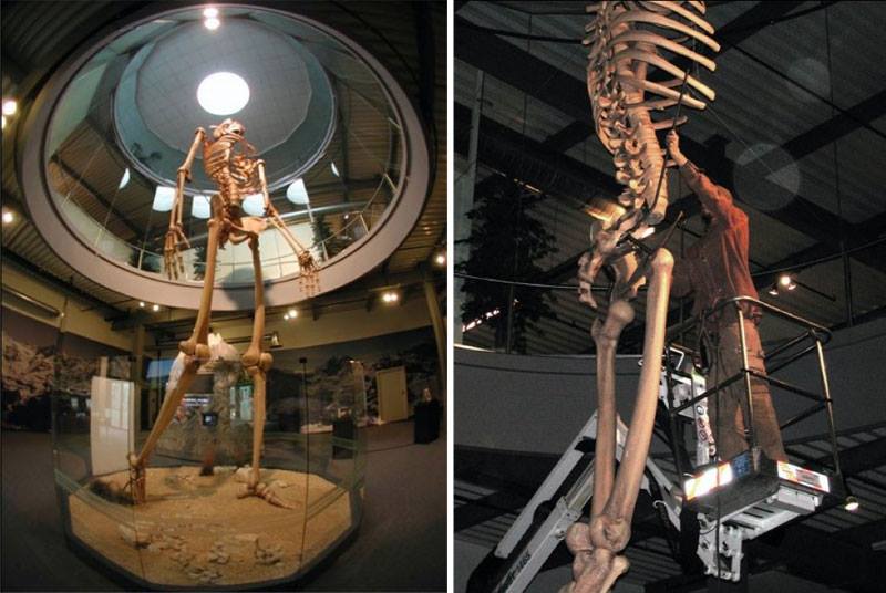 L’Histoire Cachée révélée : Squelettes GÉANTS de 7 mètres de haut Exposés Captco11