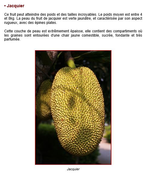 Quel est cet arbre fruitier ? Captu436