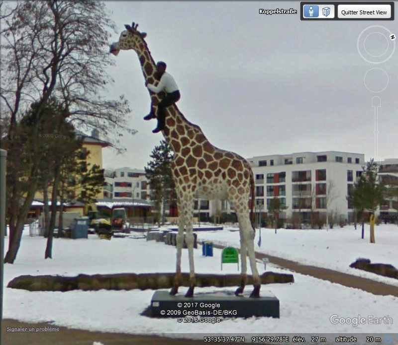 Une girafe dans la neige - Hambourg - Allemagne Gggggg10