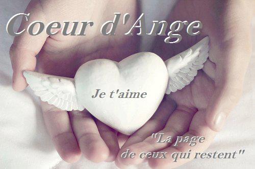 mon bébé d'amour Guillaume - Page 4 54087010