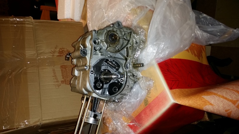 [ Dax ] Skyteam copie Honda moteur 150 Lifan.  20140146