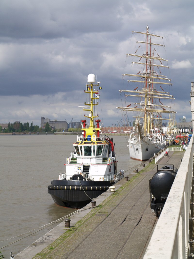 Dar Mlodziezy: das polnische Segelschulschiff in Antwerpen  P4180313