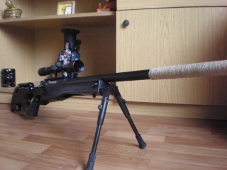 Sniper aw 308 P2240013