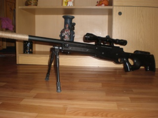 Sniper aw 308 P2240014