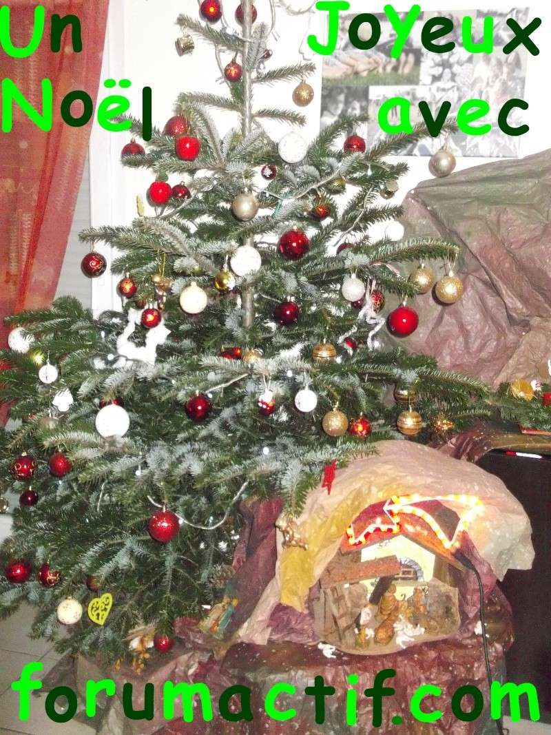 Concours : Le plus beau sapin - Page 2 Sapin_10
