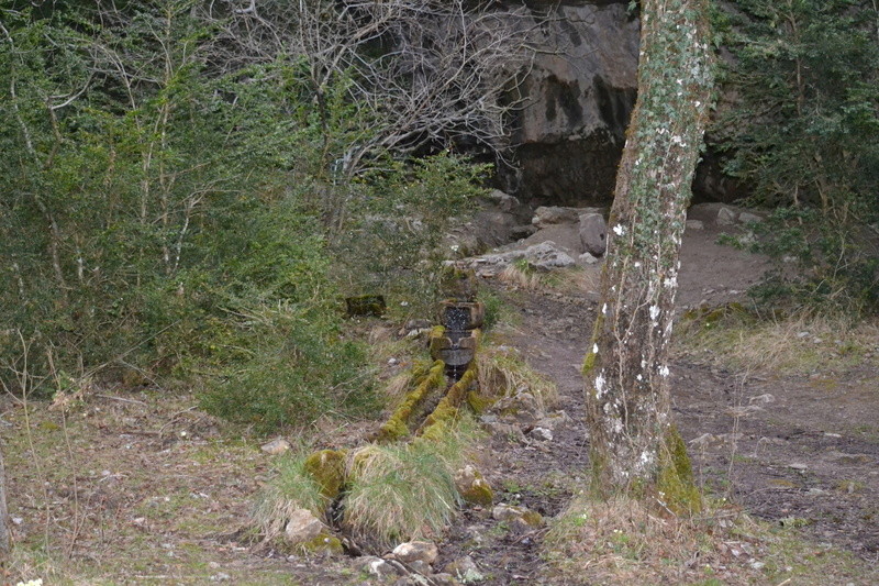 [Projet de sortie remplacée] Rando/Bivouac en Lozère Vallée du Tarn et Causse Méjean. - Page 2 Dsc_0113