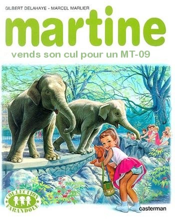 martine achète un MT 09 Salope10