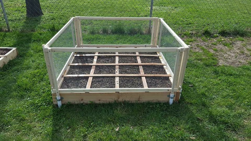 critter cages - Critter Protection for the beds - new design Critte10