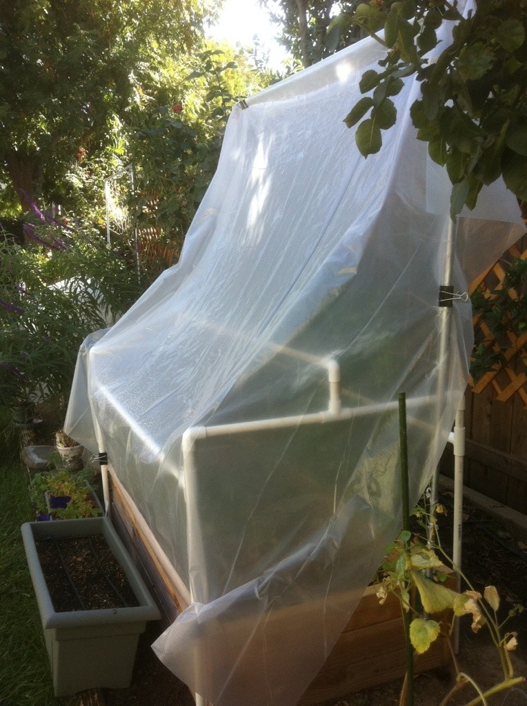 Central California: Just planted my winter garden starts yesterday Frames18
