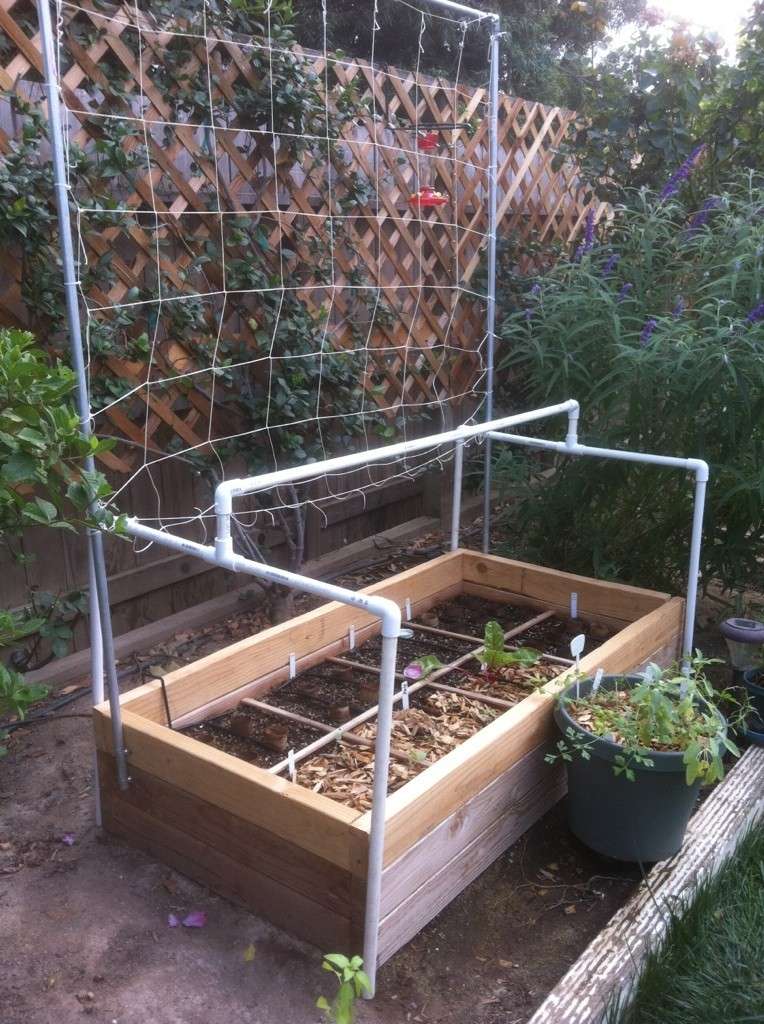 new member from land of the outdoor convection oven Frames20