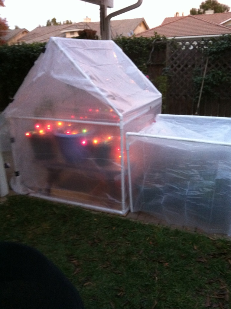 The Winter Journey and greenhouse plastic - Page 3 Hot_ho14