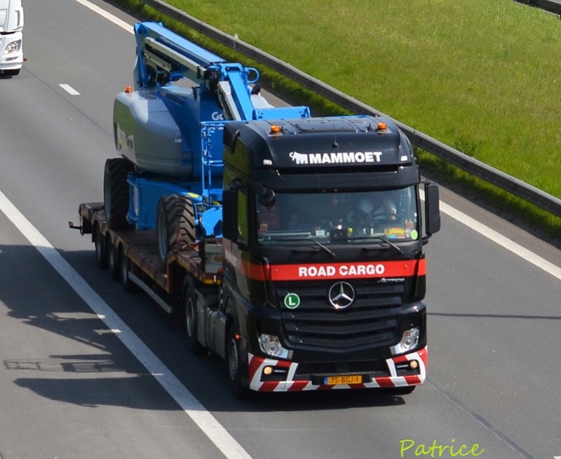 Mammoet Road Cargo - Oudenbosch - Page 3 14210