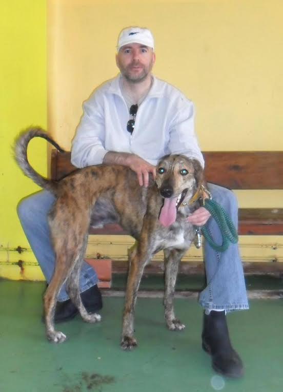 urgent - MARCO - galgo 4  ans  (4 ans de refuge) - Asso Une Histoire de Galgos - Andalousie (Espagne) Unnam120