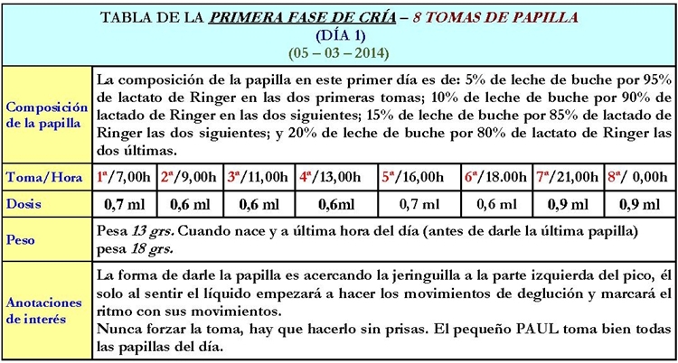 - DÍA 1 (PRIMERA TOMA DE CONTACTO CON EL PEQUEÑO ) 75011