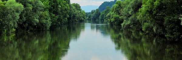 Der Fluss    Fluss10