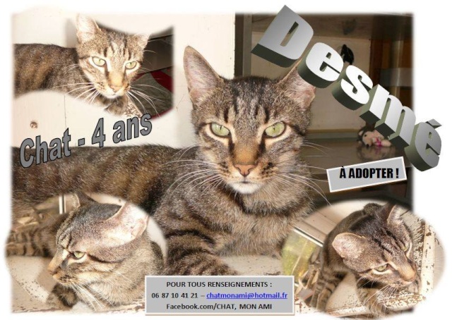 Fermeture d'un refuge pour chats à proximité de lyon - Page 2 14686710