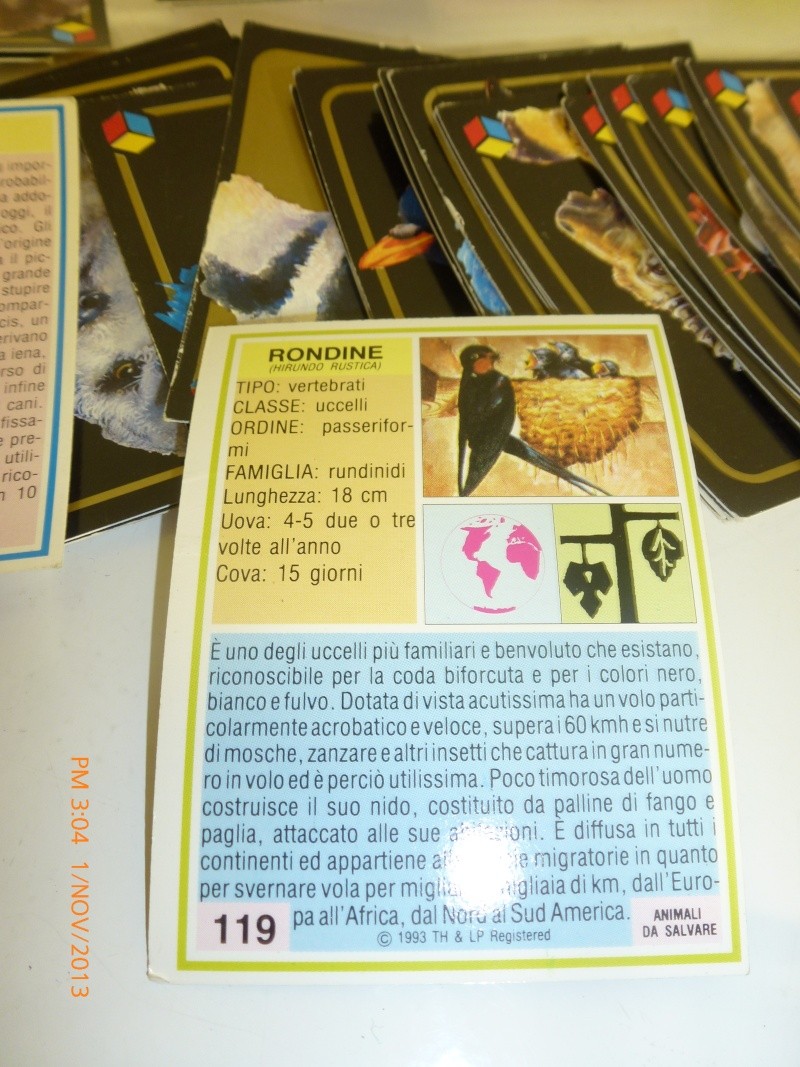 CARD "ANIMALI DA SALVARE" P1010111