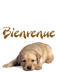 Bonjour  Bienve24