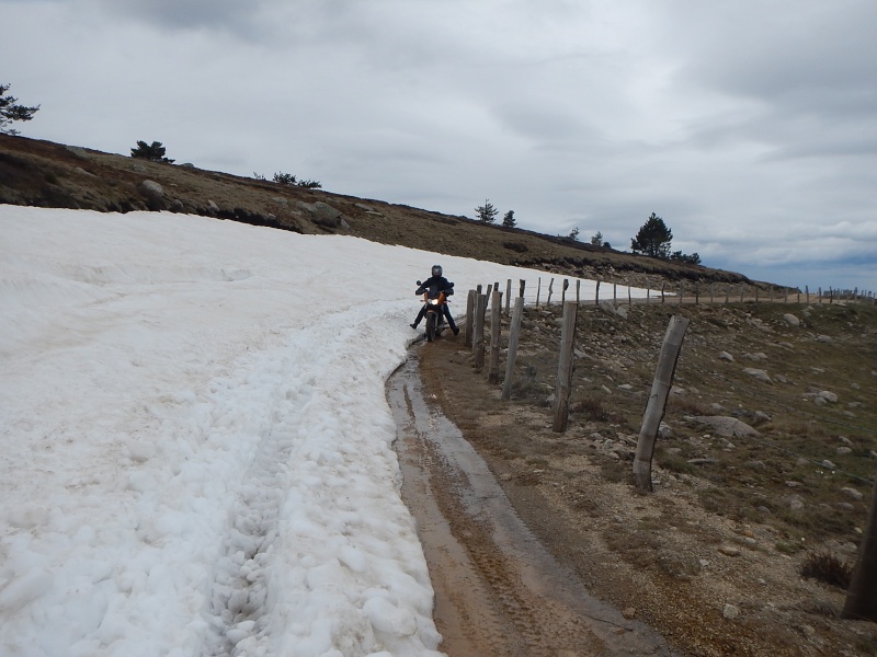 Quelqu'un connait les pistes du MONT LOZERE ? Dscn0823