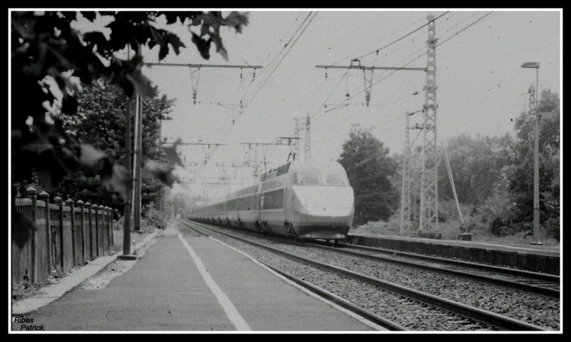 Pk 240,8 : Gare de Saint-Jory (31) Pict0015