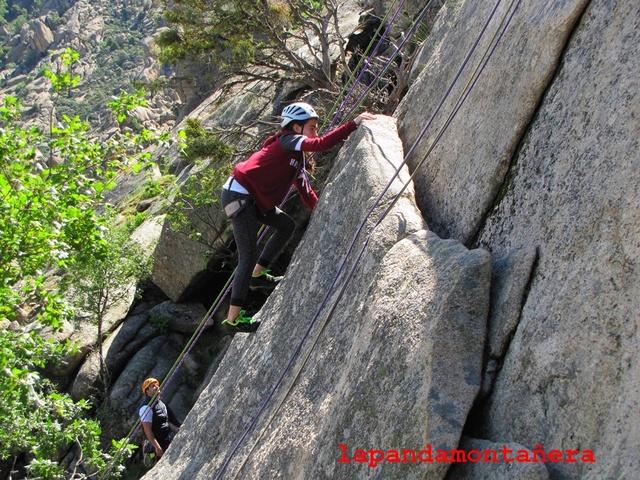 20170514 - LA PEDRIZA - SECTOR COLINA HUECA 03613