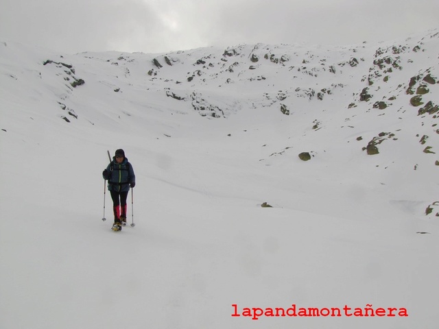 20170218 - CIRCO DE GREDOS 12110