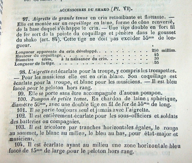 Shako Français 1860 ? Hpim4137