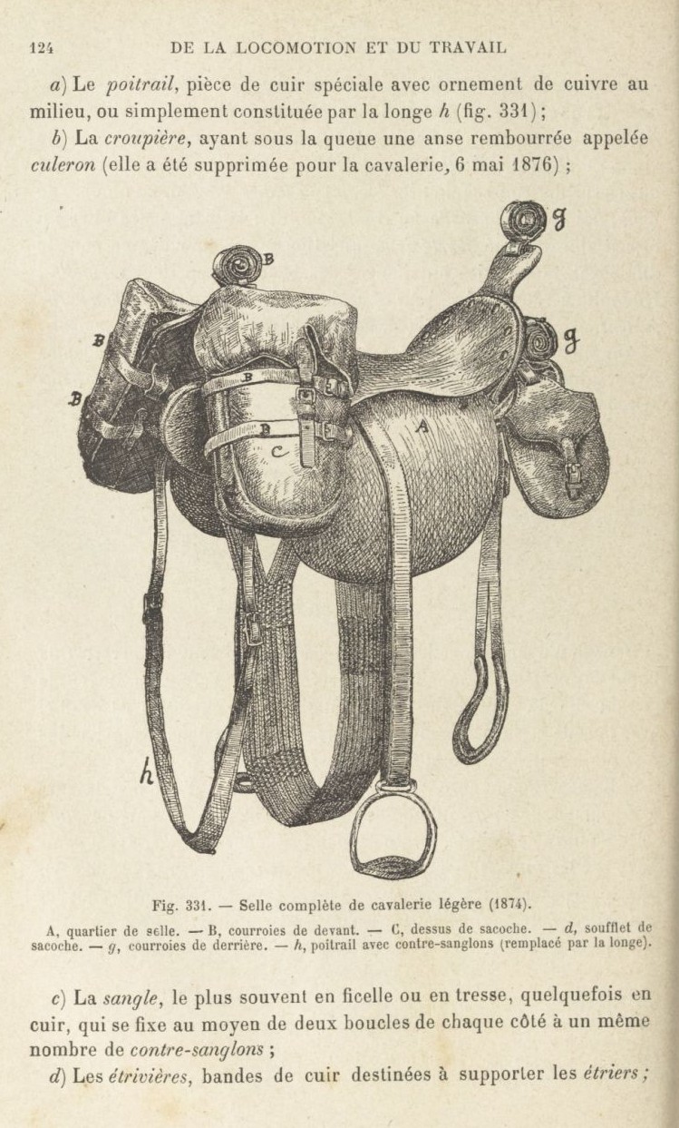 La selle de cavalerie modèle 1874 et ses déclinaisons  Traity24