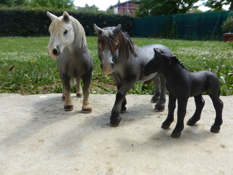 Ma p'tite collection horses P1050033