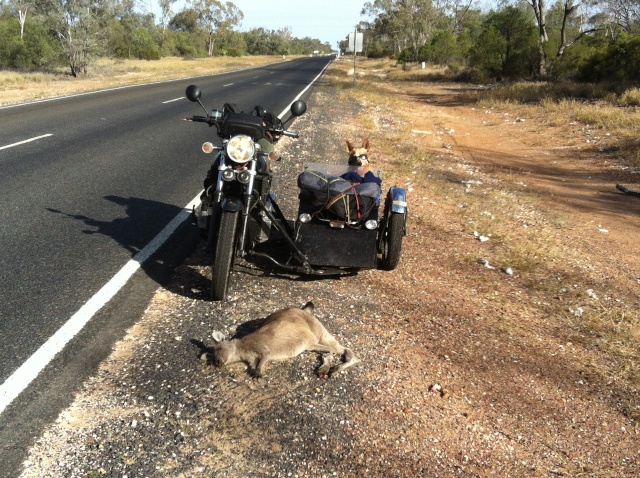 Nindigully ride in May. - Page 3 Img_1010