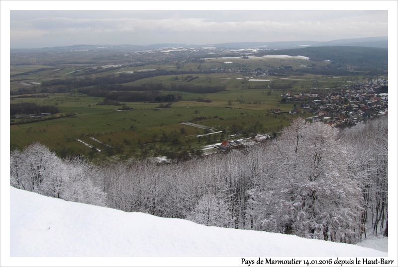 Ces derniers temps en Alsace/Moselle (67 & 57) 01/02.2017 Marmou10